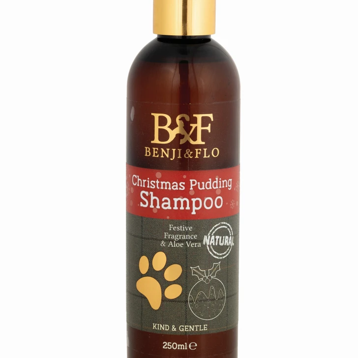 Benji & Flo Christmas Pudding Shampoo