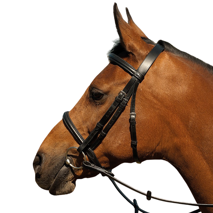Heritage Plain Bridle