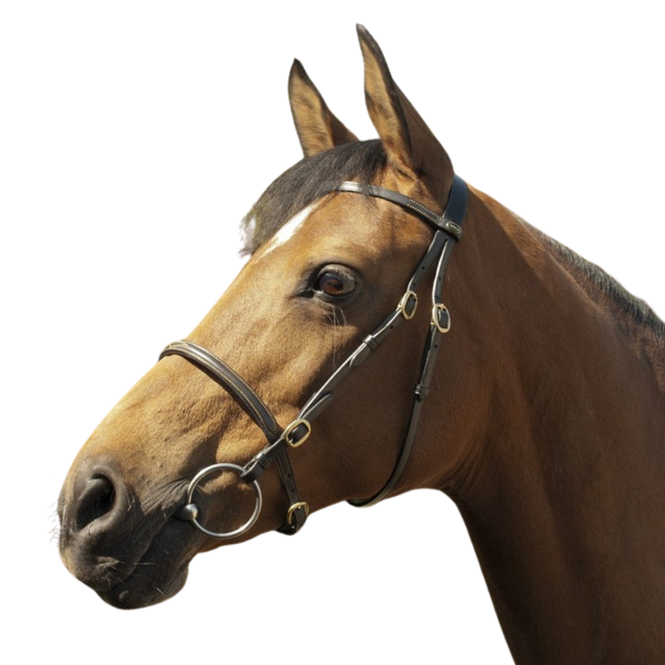 Heritage In-Hand Bridle