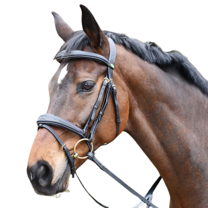 Rhinegold Wide Stitch Anatomical Flash Bridle