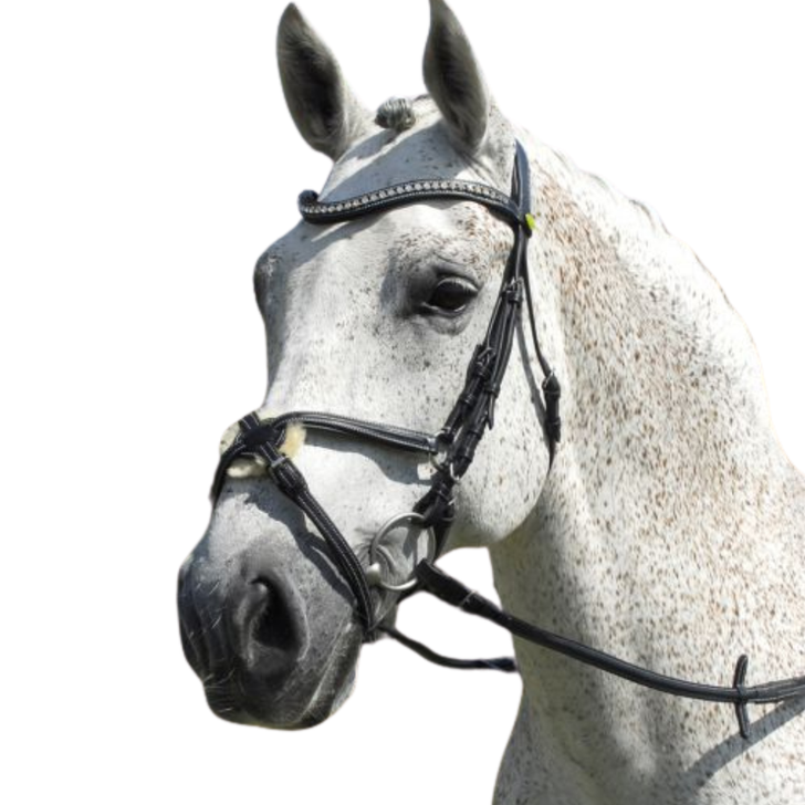 Rhinegold Italian Leather Anatomical Bridle With Mexican Noseband