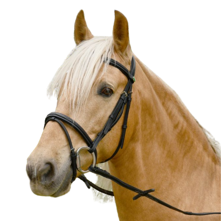 Rhinegold Elegance Stitched Flash Bridle