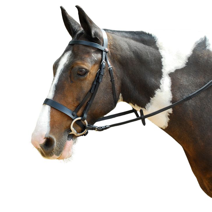 Windsor Leather Hunter Bridle With Wide Cavesson Noseband