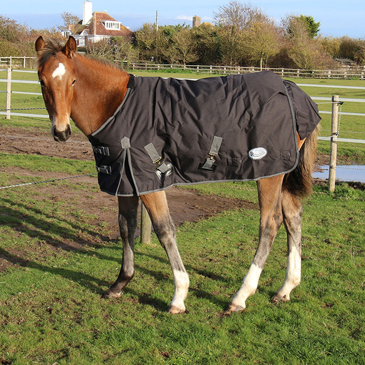 Rhinegold Konig  Foal / Small Pony Mediumweight Outdoor Rug