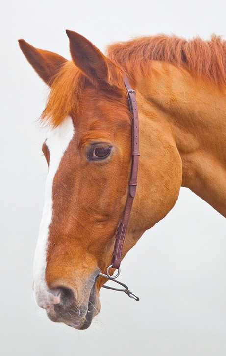 Blenheim Chifney Bit Strap