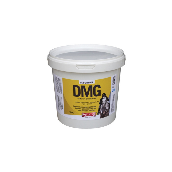 dmg for horses a supplement