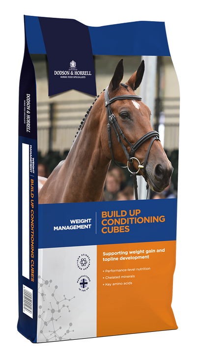 Ideal to support weight gain and top line in a controlled, slow release way for horses that are prone to weight loss.

Build Up Conditioning Cubes are the ideal way to help with weight gain in a controlled, slow release way.

High in oil for condition and slow release energy and added L-Lysine to promote muscle condition and top-line, this feed is ideal for those competing. Build up Cubes also contains probiotic live Actisaf yeast to promote digestive health and efficiency as well as a comprehensive blend of vitamins and minerals.