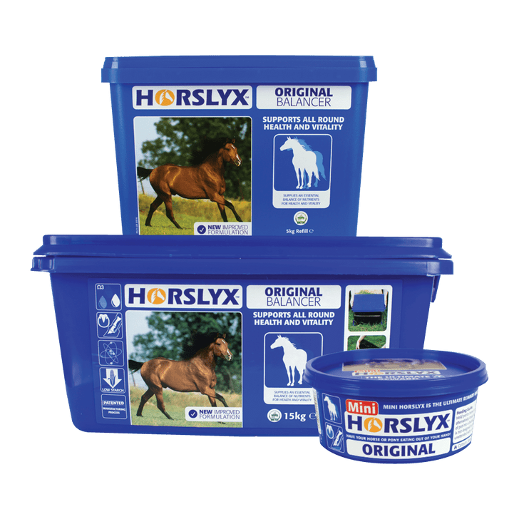 Horslyx Original Balancer