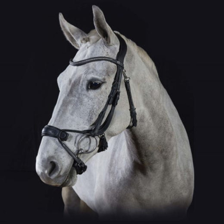 The Premier Alpine bridle from GFS is designed with performance, comfort, and quality in mind.

This bridle is designed with an anatomically shaped headpiece and contoured cheek pieces that avoid the main facial nerves and relieve pressure from your horse's upper jaw. It also has extra padding to add comfort for your horse and give more even weight distribution.

It features rolled leather nose band hangers to add to the perfect fit solution, along with exchange cheek pieces and a choice of two browbands - one plain, and one crystal.

The throatlash is optional and it the shaped padded rear fastening distributes pressure evenly on the jaw bone.

The Alpine is made with flexible leather, and the noseband is fully adjustable. A small comfort pad on the chin strap helps to prevent rubbing.