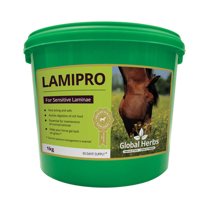 LamiPro is an advanced formula that supports the feeding management of horses. LamiPro helps soothe and support horses at any time or when there is a flush of spring grass. This premium herbal supplement aids digestion and feed utilisation while helping to comfort feet. Can be used long term or short term depending on individual requirements. Suitable for all horses and ponies.