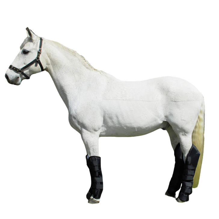 Rhinegold Full Length Travel Boots