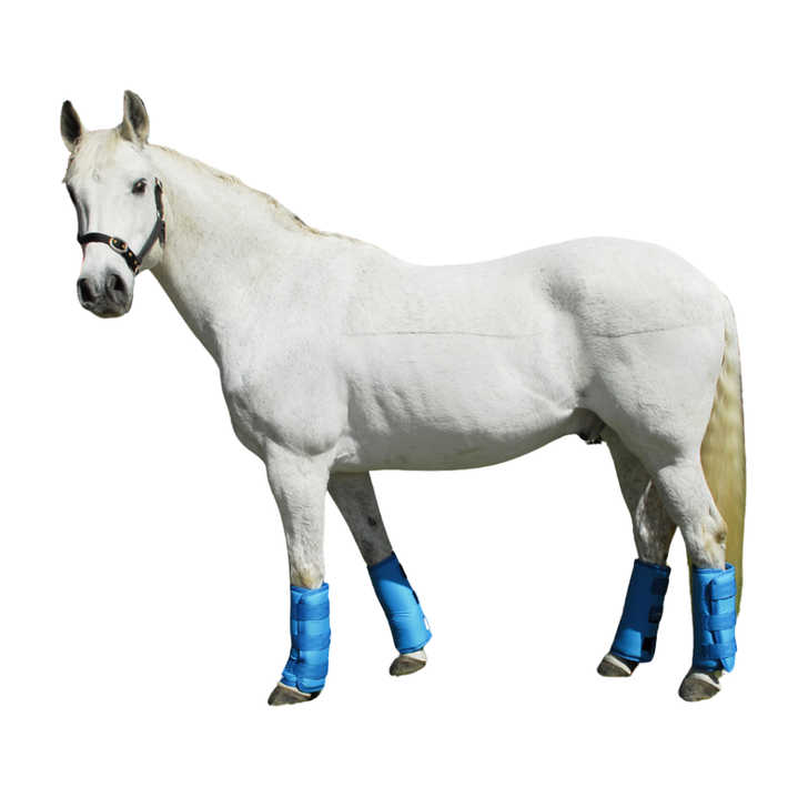 Rhinegold Half Length Travel Boots