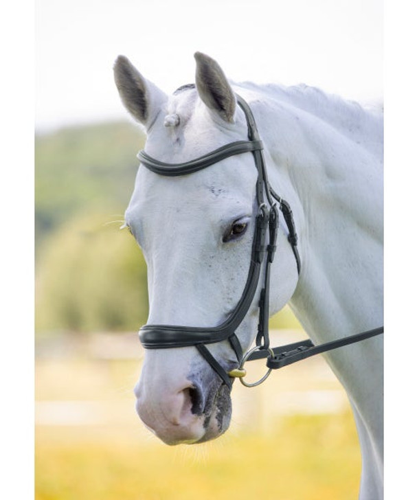 Offering the horse a greater sense of freedom, the Velociti RAPIDA ergonomic curved flash bridle allows for improved communication. The curved noseband relieves compression from the cheekbones, jaw and sensitive nerve endings. The padded integrated noseband and flash strap give a greater spread of pressure creating a less restricted feeling for the horse. Tech details: FreedomFit headpiece designed to relieve pressure thanks to the wide, cushioned crown with poll gap and cutaway ear profile. Soft leather combined with generous, anti-shock padding on the headpiece, browband and noseband. Elegant profile due to sleek, angled throatlash. High shine stainless steel harness buckles. Signature Velociti RAPIDA reins for flexible and assured grip.