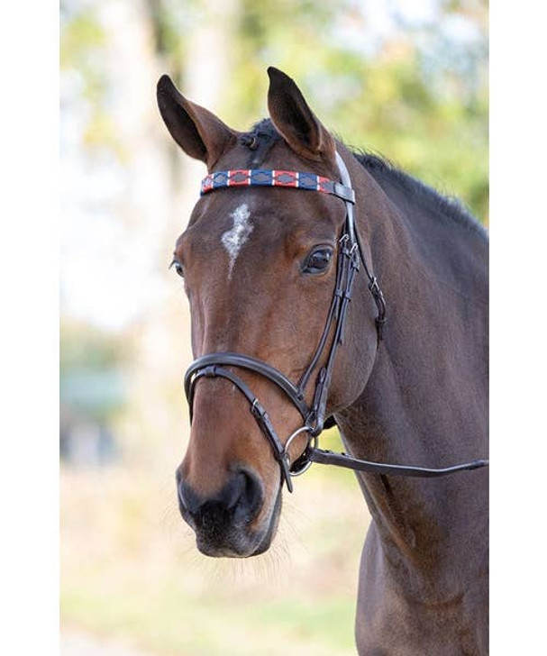 Made from waxy, conker brown leather, these smart Velociti GARA browbands feature polo style stitching for country chic. Matching items available.
