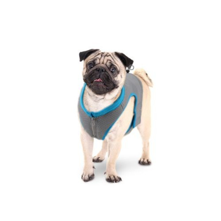 The All for Paws Chill Out Cooling Vest is the perfect summer coat for your dog. Designed to reflect heat from the sun, the cooling vest can help lower your dog’s body temperature when soaked in cold water and worn as the water evaporates from the vest.