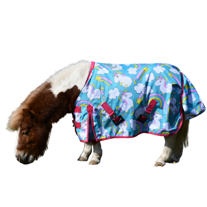 Rhinegold Unicorn Mini Torrent Outdoor Rug