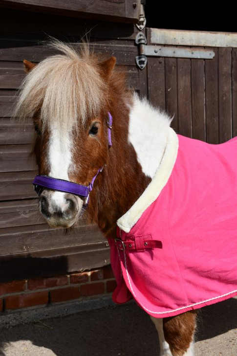 A super snug padded neck line for comfort and to reduce rubbing.
Single chest strap
Fillet string
Embroidered Unicorn design