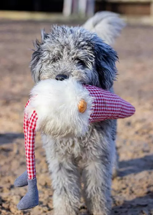 This Rosewood Toy is a super soft plush which makes it ideal for indoor snuggle times!