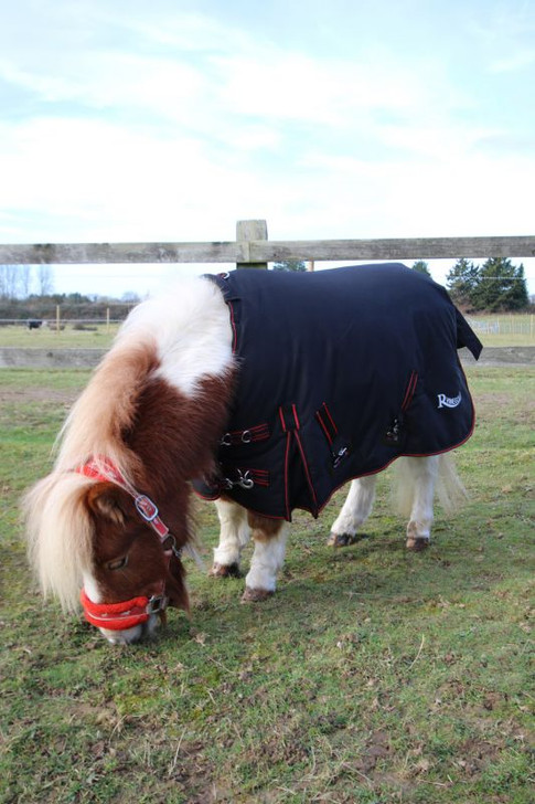 The Thor outdoor rug features a tough 1000 denier, waterproof breathable outer, it has a heavyweight 350gsm polyfill with breathable nylon lining, double chest straps, cross-over surcingles, legstraps and strengthened surcingle guides. In striking jet black with red binding.
