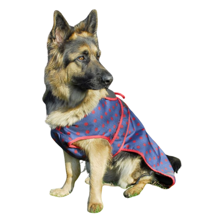 Rhinegold Highland Waterproof Dog Coat