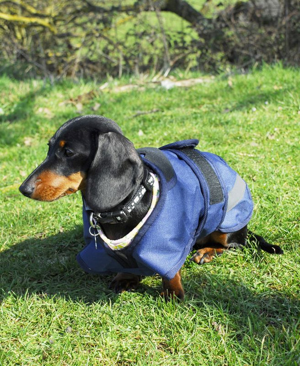 A 600denier waterproof ripstop outer, fully fleece lined. Adjustable touch tape belly strap and thin elastic little leg straps . The Highland coat also features a zip to allow for a harness to be attached.