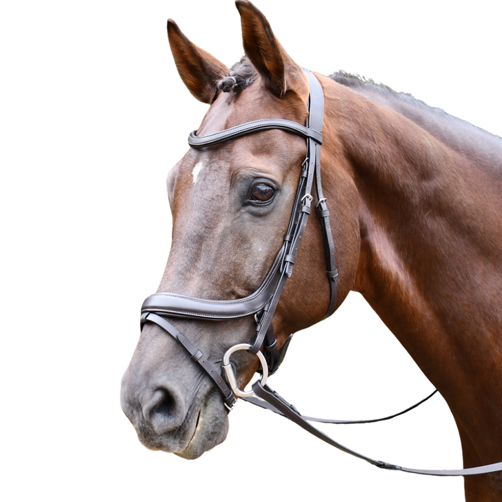 Rhinegold Leather Pro-Anatomical Bridle