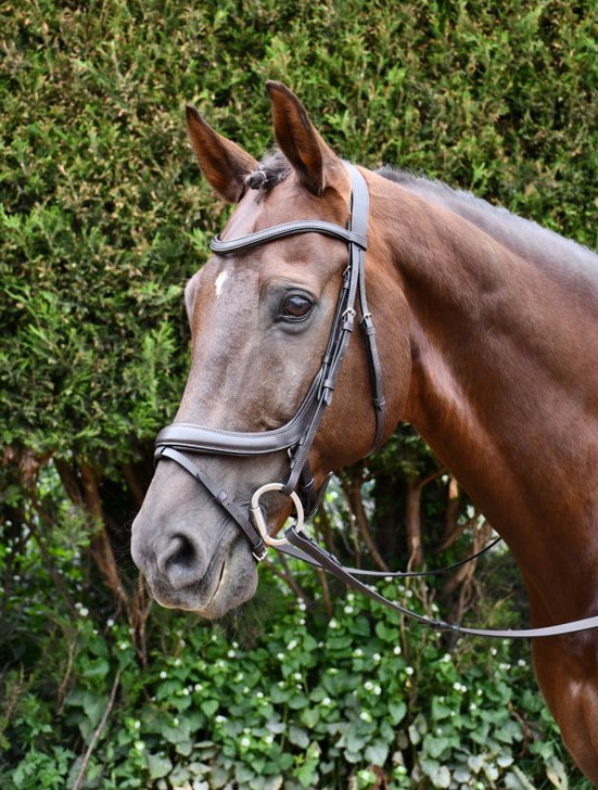 Anatomically shaped leather bridle with a fully padded leather crown, shaped around the ears for comfort.
Anatomically shaped to sympathise with the shape of the horses face.
Includes reins
