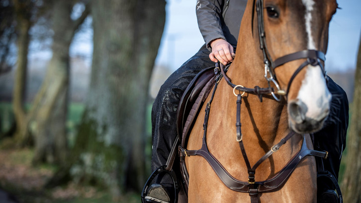 Take on all winter weathers with the LeMieux DryTex Stormwear Waterproof Chaps which are packed full of practical and stylish features.


Made from breathable yet durable material with unique membrane and taped seams, these full chaps are fully waterproof and perfect for wet days at the yard - the rain simply beads and runs off! Waterproof rating of 5000mm and a Moisture Vapour Permeability (MVP) rating of 4000mvp.


The fleece lining provides an extra layer of warmth on the chilliest of days


Elasticated foot straps stop the bottoms rising up whilst riding and the silicone knee grips ensure stability in the saddle. Reinforced knees and inner lower leg give added durability making sure these chaps withstand the hard work of winter.


Elasticated waist band gives a comfortable and secure fit and the Velcro adjustments around the bottom makes getting them on over breeches or jeans easy.


Finished with LeMieux DryTex detailing and a flattering fit