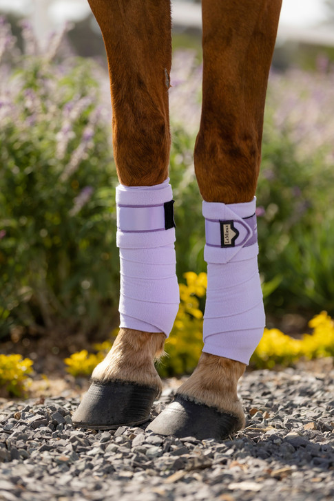The perfect match to complete the Loire Collection. These beautiful fleece polo bandages have luxurious satin end-detail and the signature LeMieux embossed metal motif. Made from the highest quality fleece to avoid piling.
 

These exercise bandages can be used on their own or with LeMieux under bandage pads for extra protection.