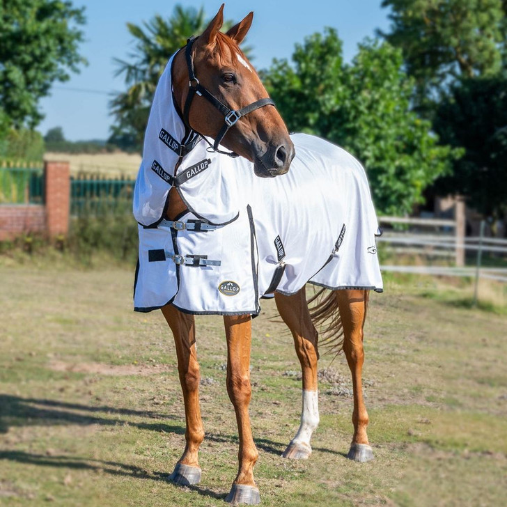 Gallop Essentials Fly Rug