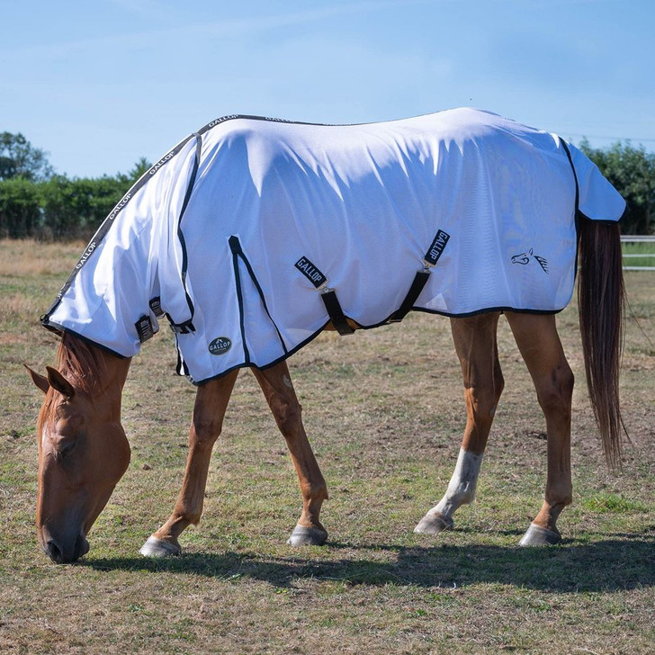 Gallop Essentials Fly Rug