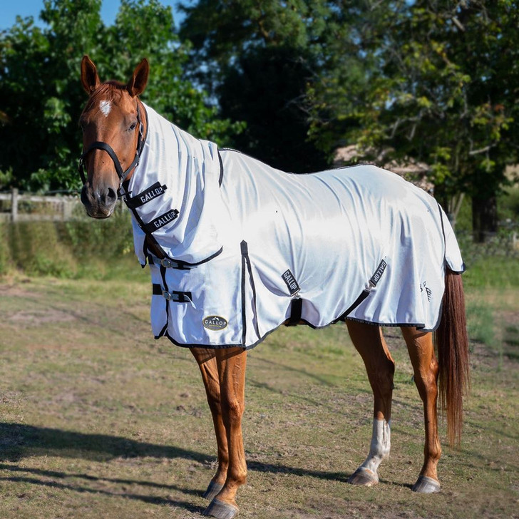 Gallop Classic Combo Fly Rug