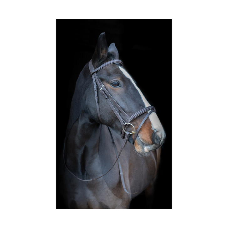 Developed with a beautiful anatomic headpiece with super soft padding to assist alleviating poll pressure. The headpiece has a subtle cutaway to take pressure from the ears. With a raised and padded browband this bridle offers comfort and a balanced elegant look. 

Complete with Suregrip reins and includes a flash.