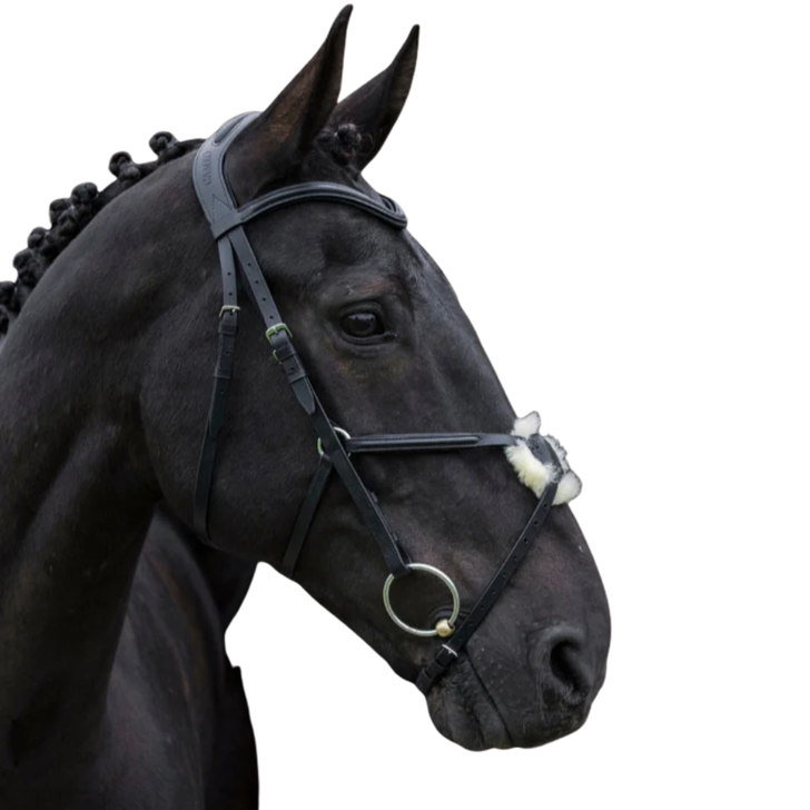 Cameo Equestrian Anatomic Grackle Bridle with Reins