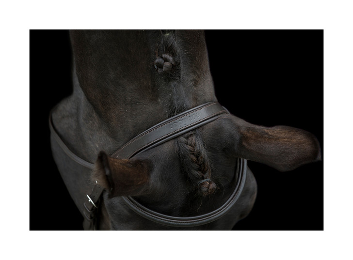 Handcrafted using the finest EcoLeather this bridle benefits from a slight cutaway from the lower ear with a soft padded headpiece. The bridle has a soft padding around the hose and brow for extra comfort. 

Eleganmtly balanced bridle with a smart raised padded browband. 

This classic bridle also benefits from a removable flash that can be taken off neatly leaving a clean line.