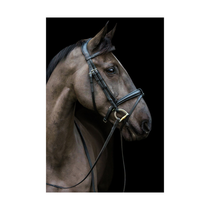 The Ultimate and best selling Comfort Bridle. Our Luxe bridle moulds to the unique shape of your horse's face. A truly magnificent bridle!