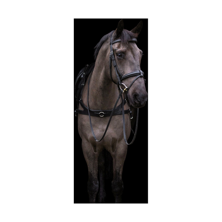 The beautiful Freedom Breastplate prevents the saddle slipping backwards in the take-off phase. It avoids pressure points and gives the horse maximum freedom of the shoulders. Comes with a martingale attachment