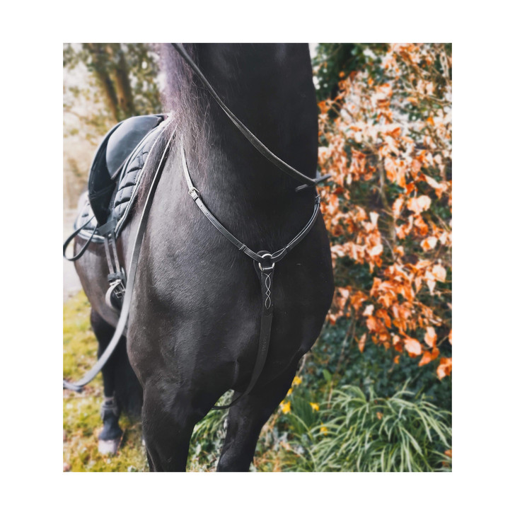 Soft supple leather breastplate with padding for extra comfort at the wither.

Comes with Martingale attachment

Perfect for hunting, jumping, cross country and everyday riding