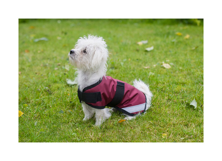 Tough durable dog coat with a soft and cosy liner.

Made in the UK

Easy to use hook and loop front and belly straps

Contoured seams and reflective stripe to keep your canine companion safe on those dark nights!