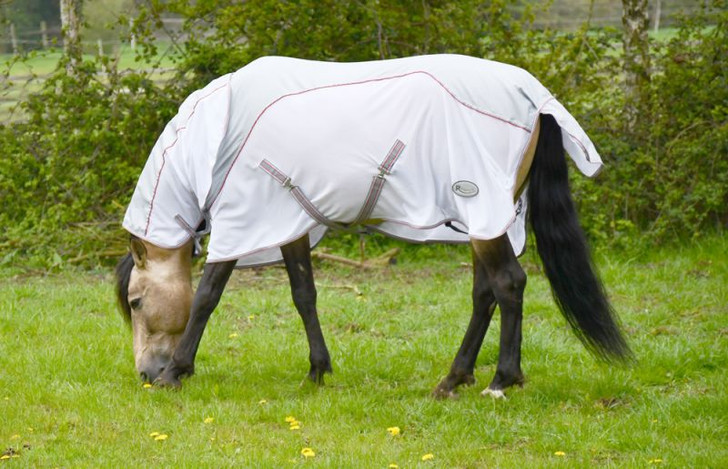 Designed for damp Spring days or Summer evenings.
The brand new Mombasa Fly Rug is made with a 600 denier waterproof topline with a robust but soft mesh lower part to the rug.
The topline and neck cover is lined with breathable nylon for a smooth hair friendly finish.
The Neck Cover is easily detachable with easy touch tape loop fastenings for attaching to the rug.
The multi-adjustable chest allows for maximum fit whether broad or narrow shouldered.
The buckle strap is fully lined with soft fleece for comfort and to help prevent rubbing.

The rug has cross-over surcingles , a soft fleece wither pad, tailguard and an elasticated tail strap -attached with a trigger clip for easy removal for cleaning.