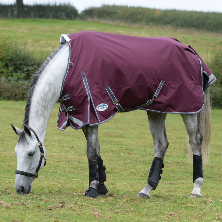 Comfortable, durable, remarkable value. The WeatherBeeta ComFiTec Plus Dynamic II Standard Neck Medium comes packed with great features, including a super strong and durable 1200 denier triple weave outer shell with repel shell coating that is both waterproof and breathable, memory foam wither relief pad that contours to the horse's shape and lifts the rug off the wither to reduce rubbing and provide added comfort, quick clip front closure offering maximum adjustability and is compatible with the WeatherBeeta liner system. This rug also offers 220g of polyfill which is easily identified with the WeatherBeeta temperature gauge badge, also featuring an extra large tail flap for maximum protection, reflective strips on front each side and tail flap for extra visibility, traditional side gussets for natural movement, twin low cross surcingles and elasticated, adjustable and removable leg straps for a secure and comfortable fit. 100% boa fleece wither and 3 D-rings to allow for attachment of neck rugs.