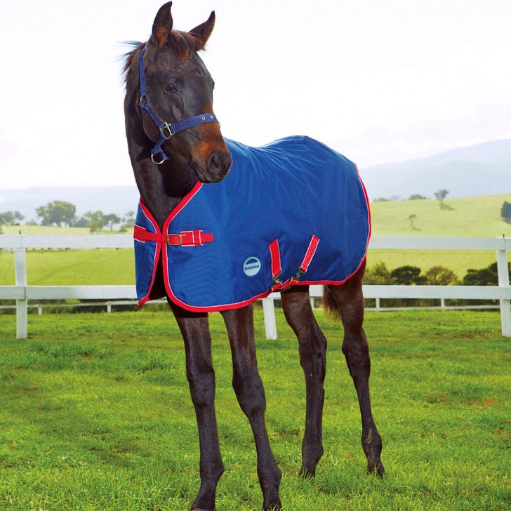 Quality foal protection. The WeatherBeeta 1200D Foal Standard Neck Medium II is a waterproof and breathable foal rug with a strong 1200 denier ripstop outer and repel shell coating, 220g polyfill for warmth and features a single adjustable buckle front closure, low cross surcingles and tail cord.