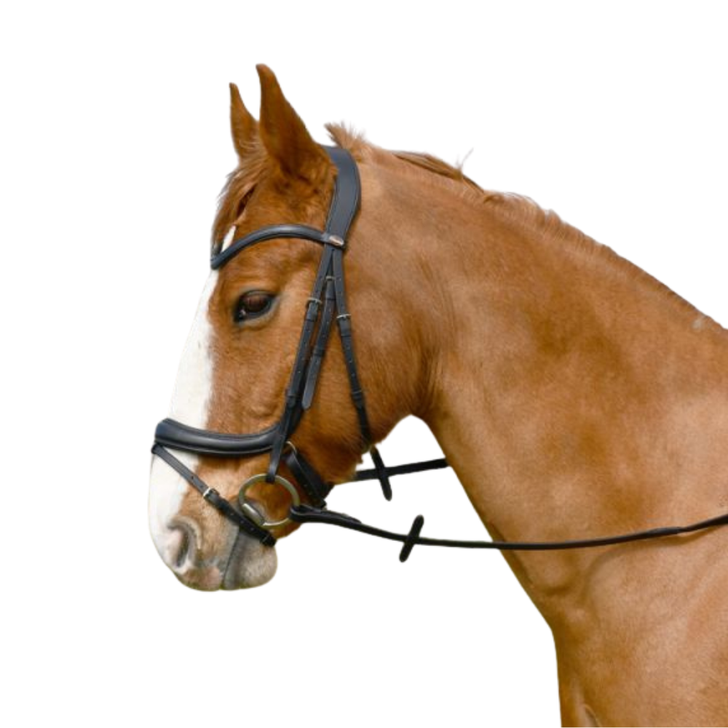 Rhinegold Windsor Leather Anatomical Flash Bridle