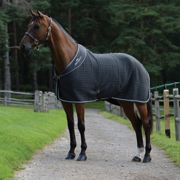 The WeatherBeeta Thermocell Cooler Standard Neck is a versatile cooler that has an ultra-soft hand feel and stylish design with multi-layer fabric & excellent wicking properties, keeping your horse dry and comfortable. Lightweight but warm making it ideal for travelling, or after exercise. Featuring a single adjustable front surcingle closure, low cross surcingles and tail cord.