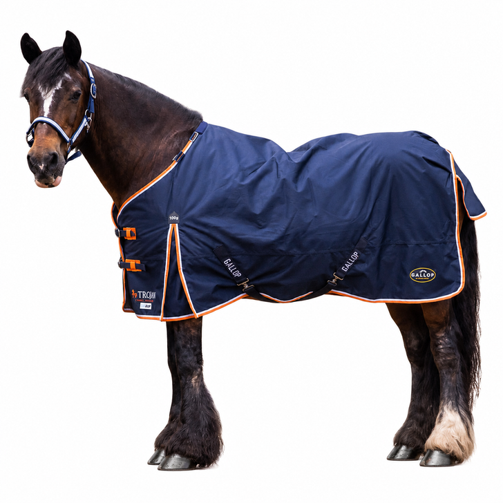 Gallop Trojan 100g Turnout Rug 600d