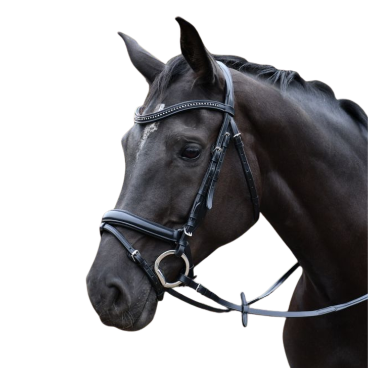Rhinegold Italia Luxury Anatomical Flash Bridle