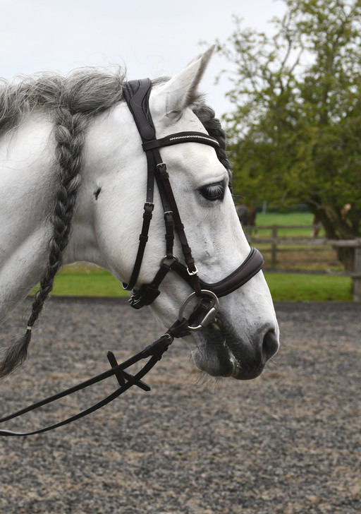 Rhinegold Softee Leather Anatomical Cavesson Bridle