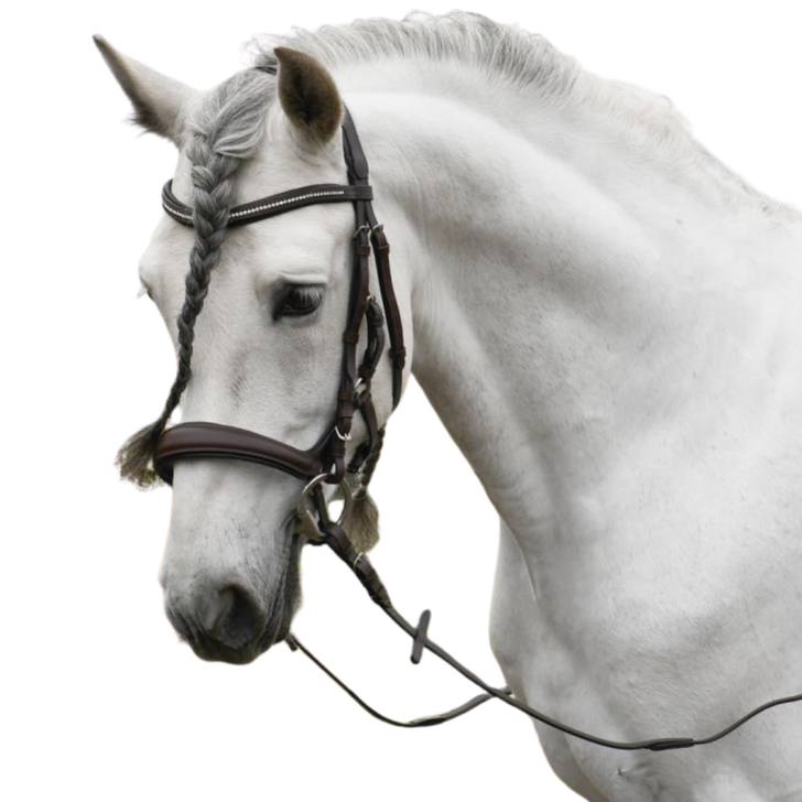 Rhinegold Softee Leather Anatomical Cavesson Bridle