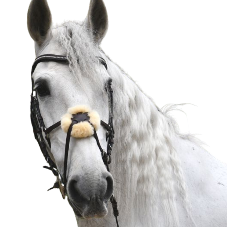 Rhinegold Softee Leather Anatomical Mexican Bridle