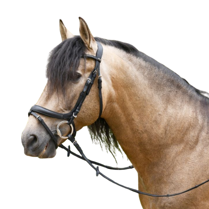 Heritage Saddlery Anatomical Flash Bridle